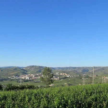 Quinta Murtinheiras Lamego