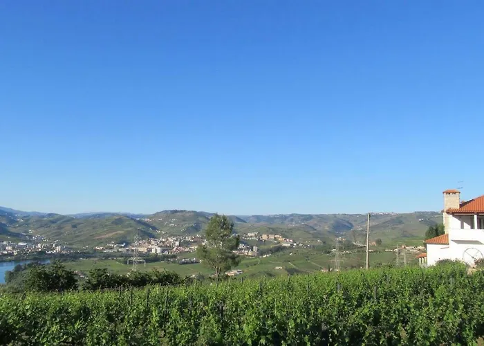 Quinta Murtinheiras Lamego